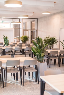 Ein moderner Essensbereich in hellen beige und grau-Farben mit Pflanzen und warmer Beleuchtung.